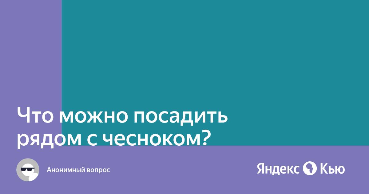 Что можно посадить рядом с чесноком?» — Яндекс Кью